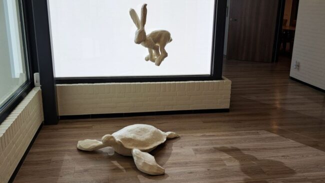 haas en schildpad zonwering foto S pan