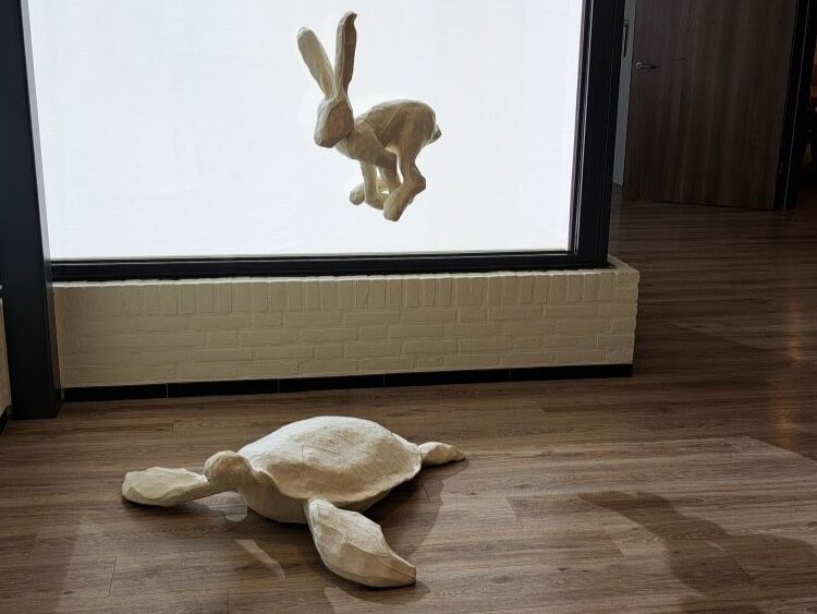 haas en schildpad zonwering foto S pan